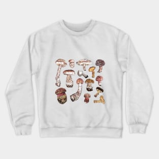 Mushrooms Crewneck Sweatshirt